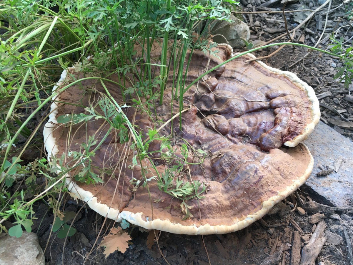 August Photo Highlights